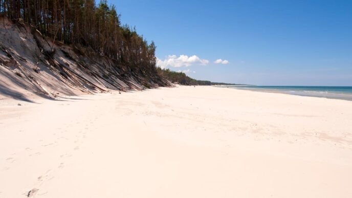 plaża w Łebie